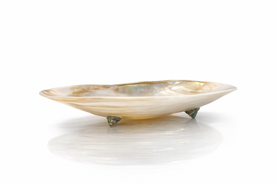 Natural Giant Mussel Shell