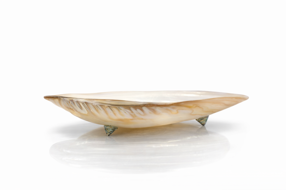 Natural Giant Mussel Shell